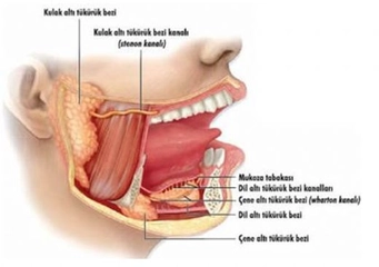 Ağızda Tükürük Birikmesi Nedenleri?